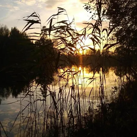 Tranquil Forestside 펜션 *