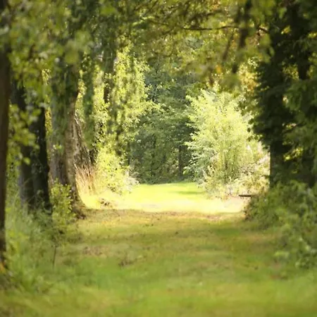 Hébergement de vacances Tranquil Forestside *