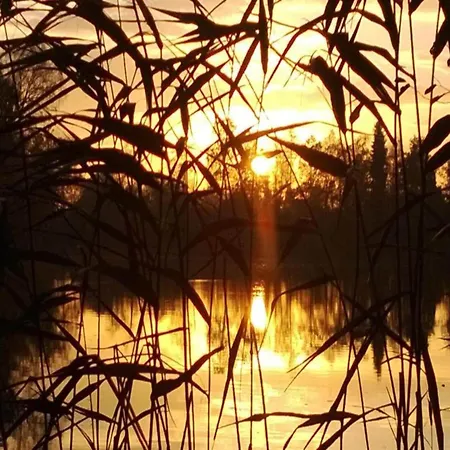 Hébergement de vacances Tranquil Forestside Couvin