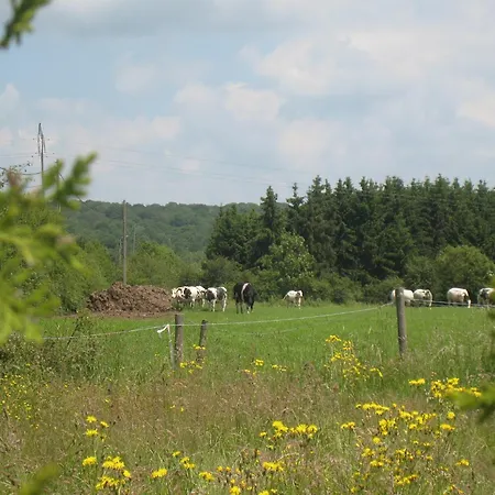 Tranquil Forestside *