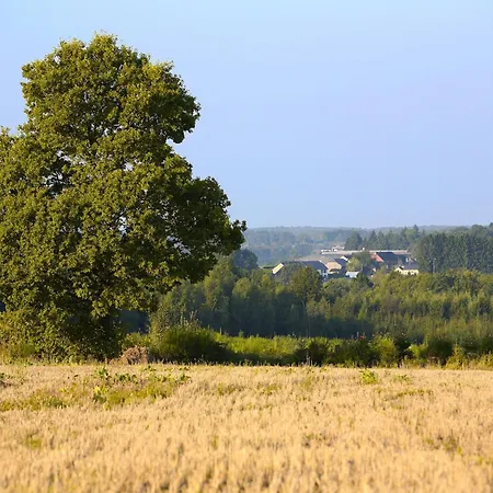 Tranquil Forestside Hébergement de vacances *
